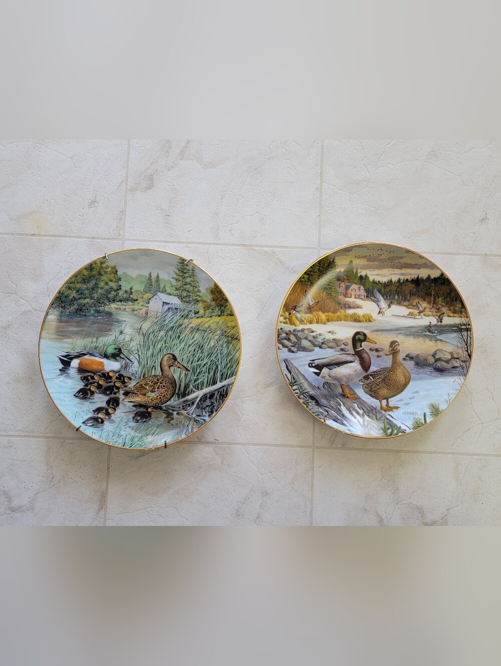 2 Duck Plates Mallard and Northern Shoveler